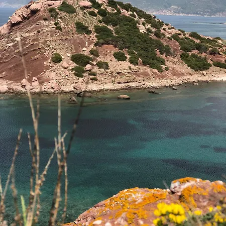 Catalan Art